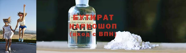 индика Инсар
